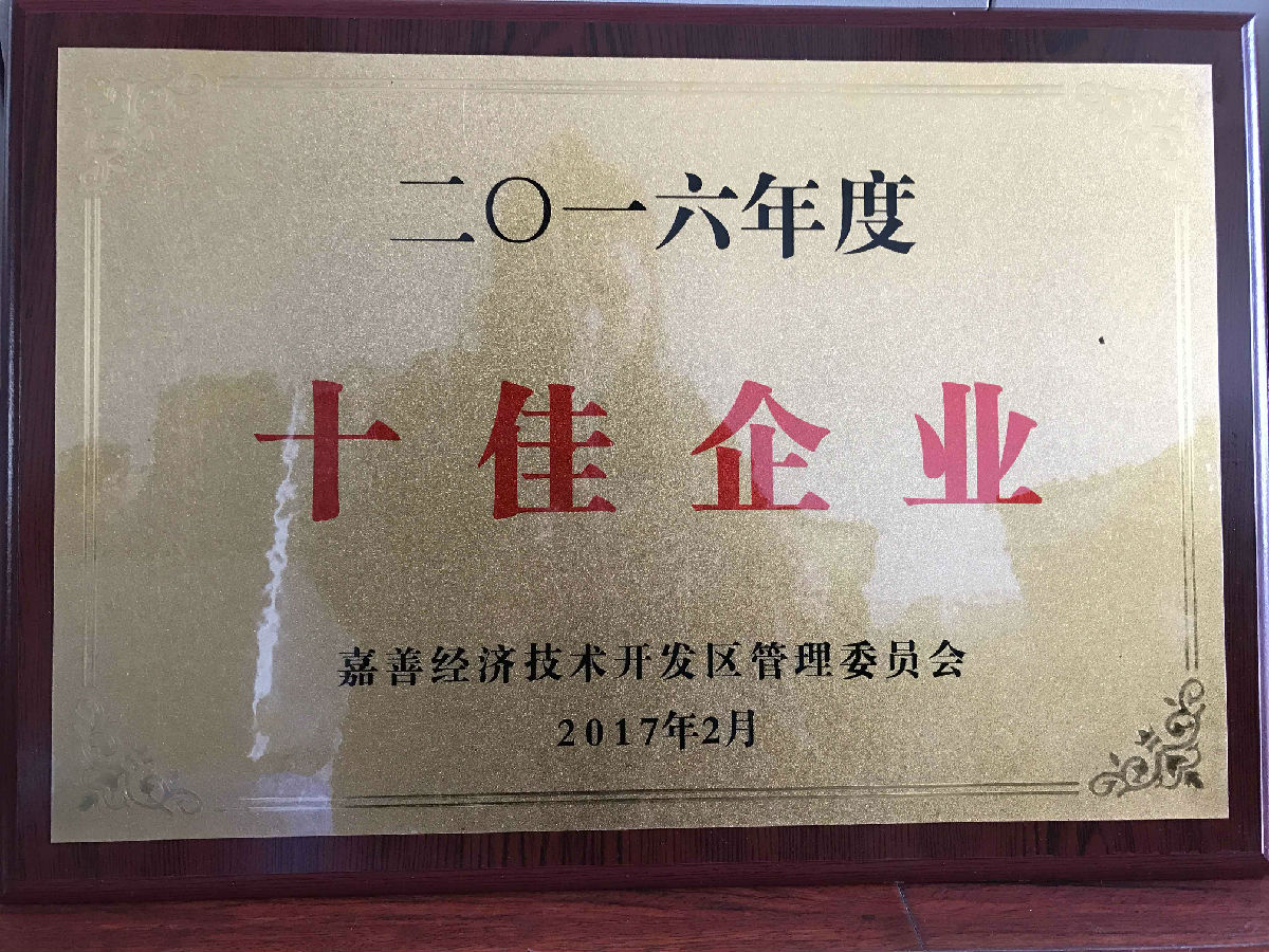 2016年度十佳企業(yè).jpg